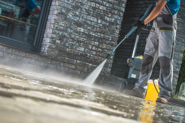 Best Patio and Deck Pressure Washing  in Ludowici, GA