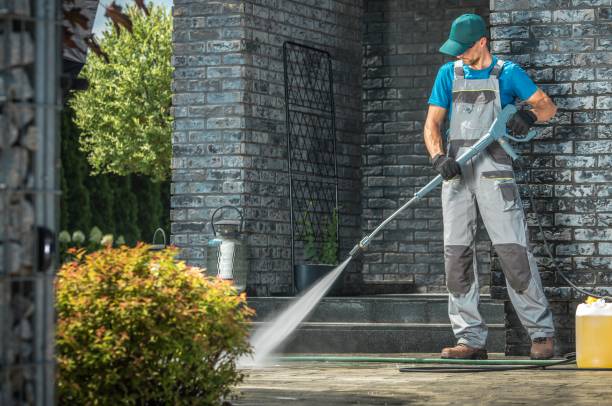 Best Spring Cleaning  in Ludowici, GA