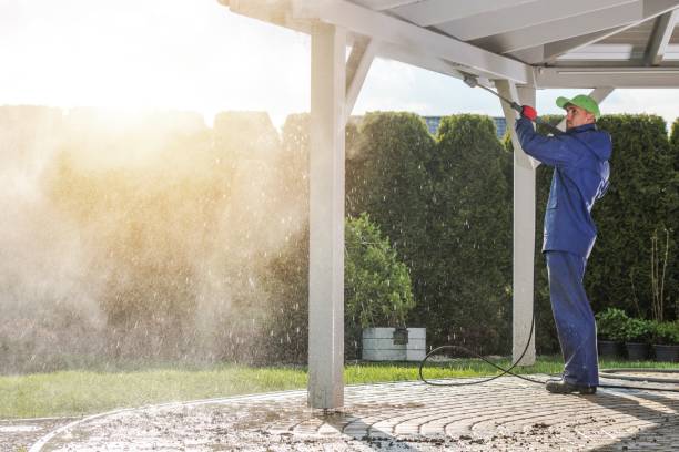 Boat and Dock Cleaning in Ludowici, GA