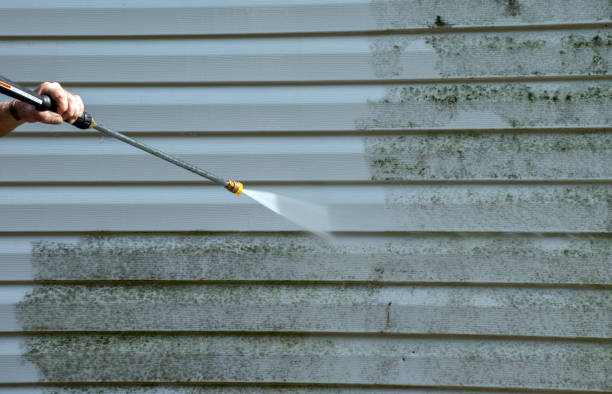Best Driveway Pressure Washing  in Ludowici, GA