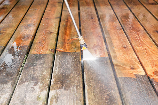 Best Sidewalk and Walkway Cleaning  in Ludowici, GA